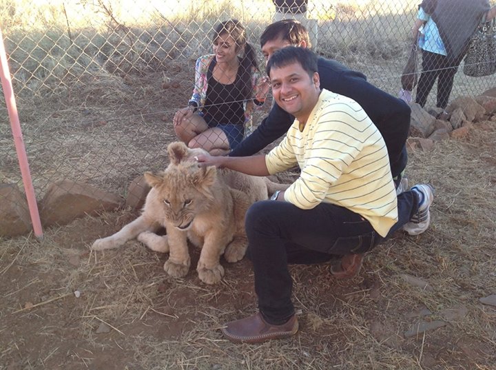 Lion King at Sun City, South Africa