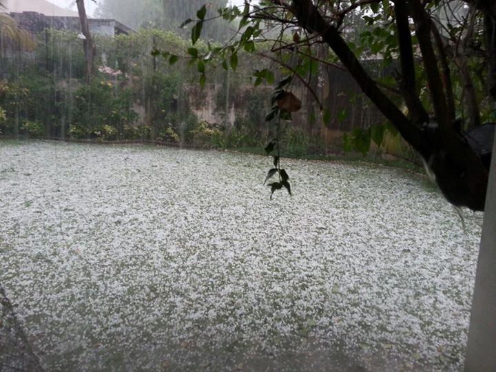 :: અલ્યા ચમન, આને snowfall નહિ hailstorm કહેવાય ::