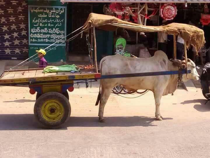 Full Marks to the Cart Owner! 
#Summer 

Image Source: Whatsapp