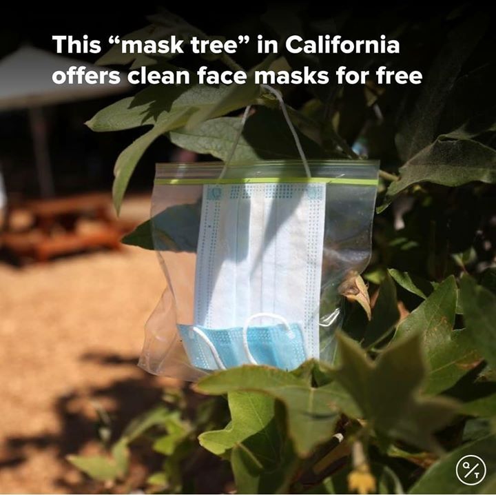 Face masks don’t grow on trees, do they?⁣
⁣
In San Anselmo, California, one group has started to hang clean face masks from trees to help those without one.⁣
⁣
Local group Age-Friendly Marin Network’s “mask trees” are in Creek Park, in the Bay Area. They hope to encourage wearing masks to help control Covid-19.⁣
⁣
Chairperson Sara Robinson says she was inspired by an initiative in Europe.⁣
⁣
“In Czechoslovakia, one individual started making masks and hanging them on trees,” she says. “And pretty soon everybody, especially in Prague, were wearing masks and proud of it.”⁣
⁣
Source : Bloomberg QuickTake

#facemask #facemasktree #sananselmo #coronavirus #covid19 #RadioMirchi #MirchiGujarati #worldfightscorona #california