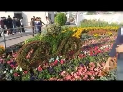 #preview of #flowershow 2017!

#amdavad