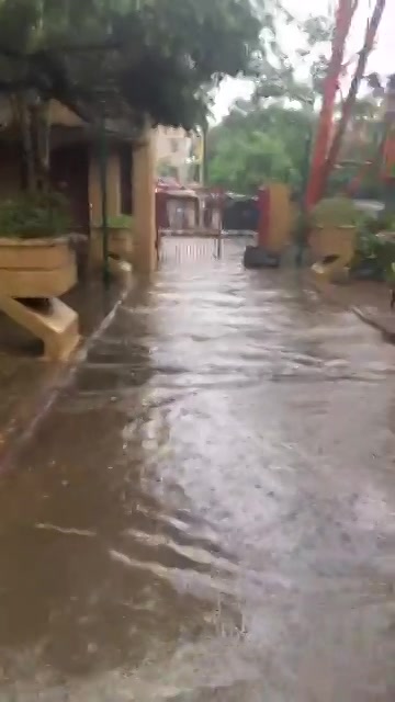 ચાલો તરવા!

#ahmedabadrain #rains #amdavad #facebooklive