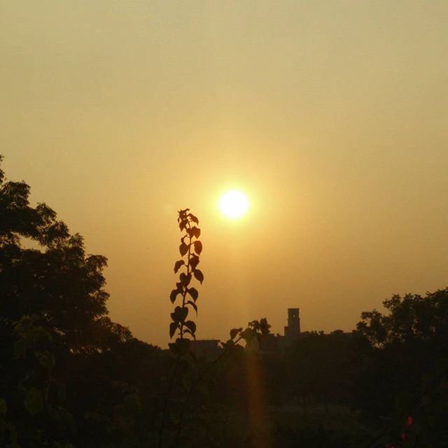 RJ Dhvanit,  Amdavad., sunrise, sun, morning, winteriscoming, ahmedabad