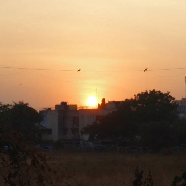 #sunset_madness
Loving the #winter #skyline at the time of #sunrise and #sunset

#sunset #sun #sky #winterishere #winter