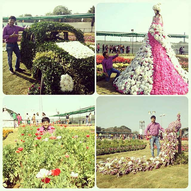 #flower show made my day! 
Do visit it, if you havent visited it yet! Last day tomorrow.

#flowerstagram #flowershow2016 #flowers