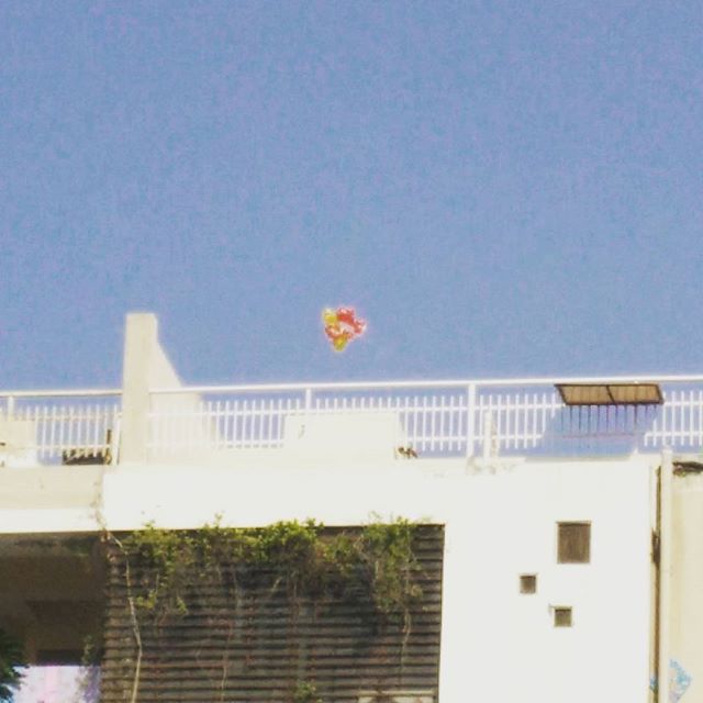 Fly high like these #balloons 
#ShowcaseUttarayan #uttarayan2016 #uttarayan