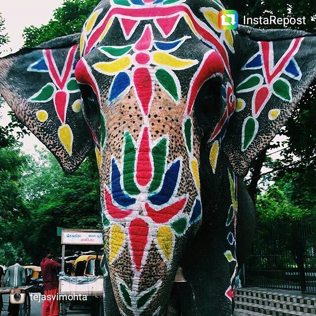 Thanks for sharing this click @tejasvimohta

#iloveamdavad #elephant