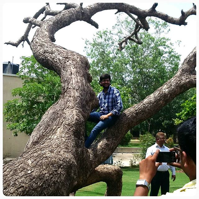 Climbed a tree after ages!

#nostalgia #throwback #tree #treeidiots #treeidiot