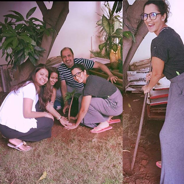 @mirzasaniar is a #treeidiot, are you?

#treeidiots #gogreen #tree #treeplanting