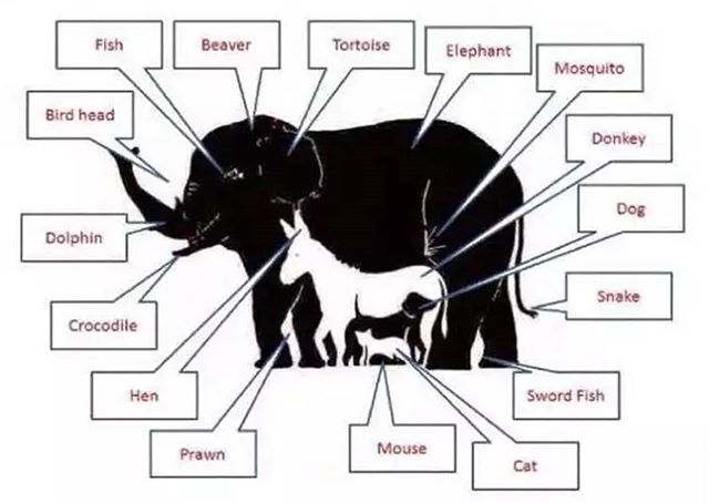 Contest Closed! Here is the right answer. There are total 16 #animals in this picture. @specsyash is the lucky winner who wins a special mirchi prize. 
#worldanimalday #animal