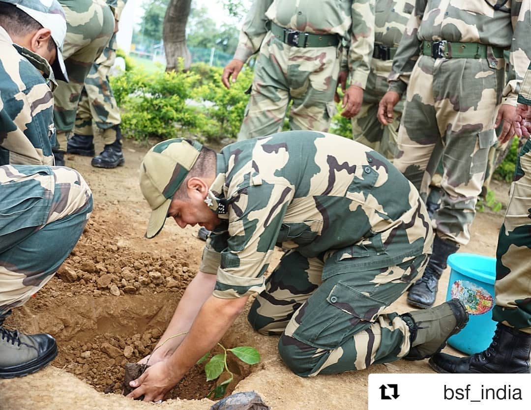 So happy to see this 😊
Borderman in service of #nature

#treeidiots #treeidiot3 #treeidiot #pedman #pedmandhvanit #पेड़mandhvanit #Repost #bsf  @bsf_india