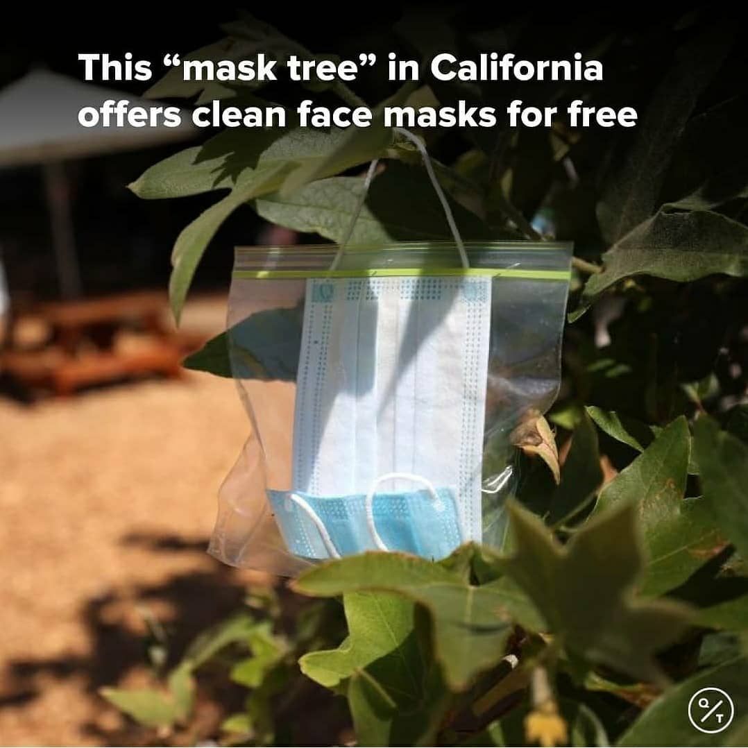 Face masks don’t grow on trees, do they?⁣
⁣
In San Anselmo, California, one group has started to hang clean face masks from trees to help those without one.⁣
⁣
Local group Age-Friendly Marin Network’s “mask trees” are in Creek Park, in the Bay Area. They hope to encourage wearing masks to help control Covid-19.⁣
⁣
Chairperson Sara Robinson says she was inspired by an initiative in Europe.⁣
⁣
“In Czechoslovakia, one individual started making masks and hanging them on trees,” she says. “And pretty soon everybody, especially in Prague, were wearing masks and proud of it.”⁣
⁣
Source : @quicktake 

#facemask #facemasktree #sananselmo #coronavirus #covid19 #RadioMirchi #MirchiGujarati #worldfightscorona #california