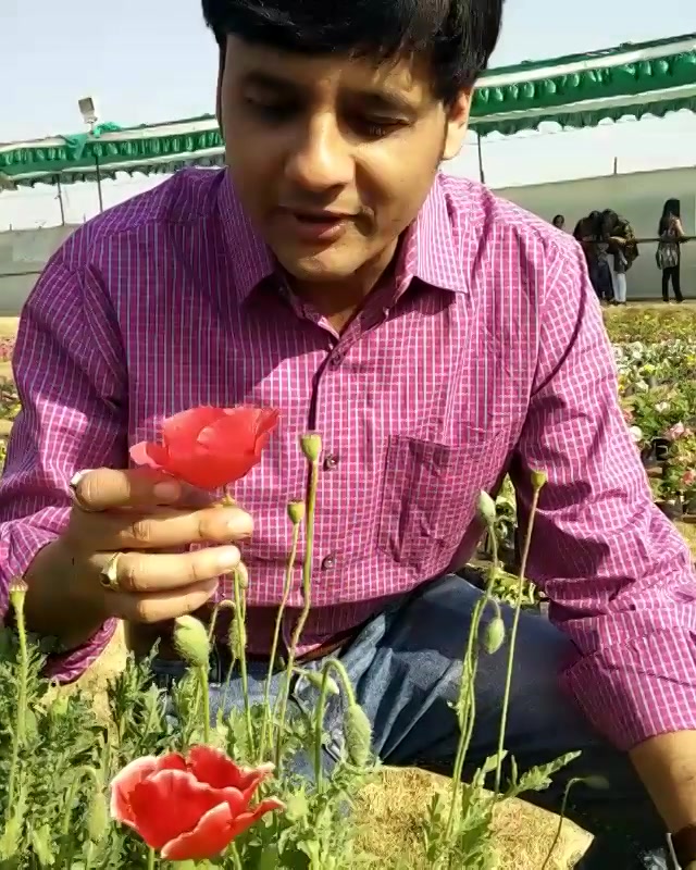 Went to the #flower show this afternoon.. #flowershow2016 #flowerstagram #flowers