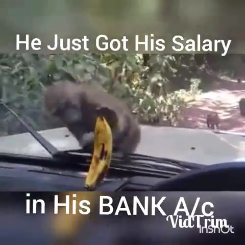 He just got his #salary in his #bank account.. Video courtesy: #whatsapp

#demonetisation