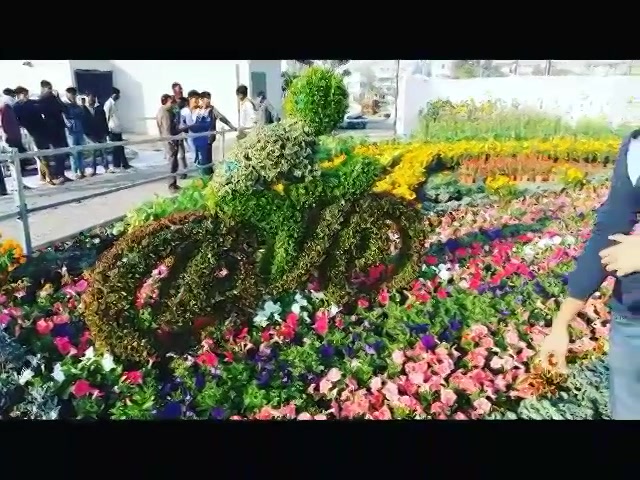 Preview of flower show!!