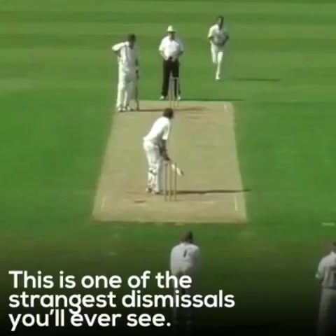 #googly sawaal: Can somebody tell why the batsman was given OUT? 
#cricket #dhvanitnigoogly #dhvanit #out #viral #viralvideo