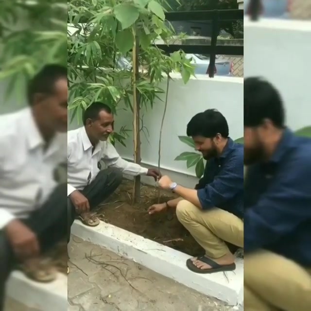 Finally planting tree saplings at my home.. #mirchitreeidiot #pedmandhvanit #treeidiot