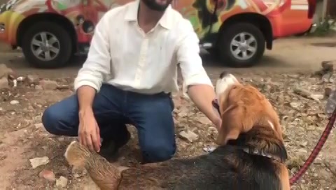 Wish #Pets could speak in our language! 
Wish we could actually understand their language totally.
.
.
.
#dogs #dogsofinstagram #pets #cats #petsofinstagram #catsofinstagram #treeidiot #ahmedabad #plantation