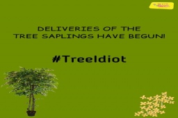 Tree Saplings ની ડીલીવરી ચાલુ થઈ ગઈ છે! જો તમે રજીસ્ટ્રેશન કરી લીધું હોય તો ૧૫ ઓગસ્ટ સુધી રાહ જુઓ. મહદંશે ત્યાં સુધીમાં તમારા રોપા તમને મળી જશે.

@omegaelevators present Mirchi Tree Idiot Season 5 with Green Mask-man Dhvanit 
Supported by AMC

#Rjdhvanit #treeidiot  #aatmanirbharmirchitreeidiot #green #mirchitreeidiot #MirchiGujarati #Gujarat #amdavad #ahmedabad #treecare #treeinside #maskman #maskmandhvanit #deliverystarted