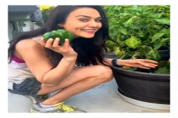 #TreeIdiot Preity Zinta has her own Kitchen garden. 
Listen to the crunch of  plucking a fresh Shimla Mirchi! 💯

@realpz #treeidiot #aatmanirbharmirchitreeidiot #mirchitreeidiot #RadioMirchi #MirchiGujarati #ahmedabad #Gujarat #mumbai #greenearth #homegarden #homegardening