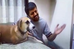 I would love to do like this daily, If I have a dog😂😂 

Raag bhaokaar. Featuring Zoe.

Credits -  Rohit Nair 
Dog name - Zoe

#rohitnair #dog #rjdhvanit #radiomirchi #mirchigujarati #BandishPandit #dogsofinstagram #adoptdontshop