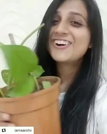 Vhalaam @iamaarohii बन गई है #treeidiot
Thank you so much for supporting #pedmandhvanit 
#mirchitreeidiot #vhalamaavone #aarohipatel https://t.co/l4qJrdTqZs