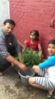 RT @rakeshchaki: #TreeIdiots @RjDhvanit Here u go ... Some efforts fm me n Kids all d way fm London https://t.co/2mYuua3iVb